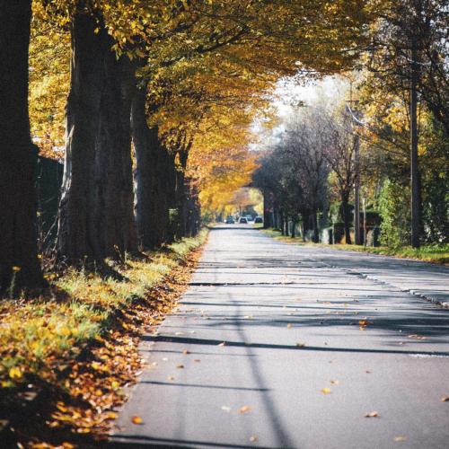 christian-lue-ddy_IDU6UL0-unsplash